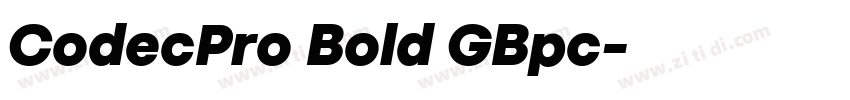 CodecPro Bold GBpc字体转换